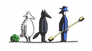 wolf sheep and cabbage